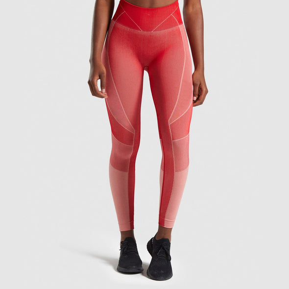 Women's Quick-Drying Yoga Set